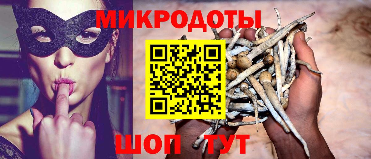 магазин  наркотиков  Вход с VPN  Борзя  Галлюциногенные грибы GOLDEN TEACHER 
